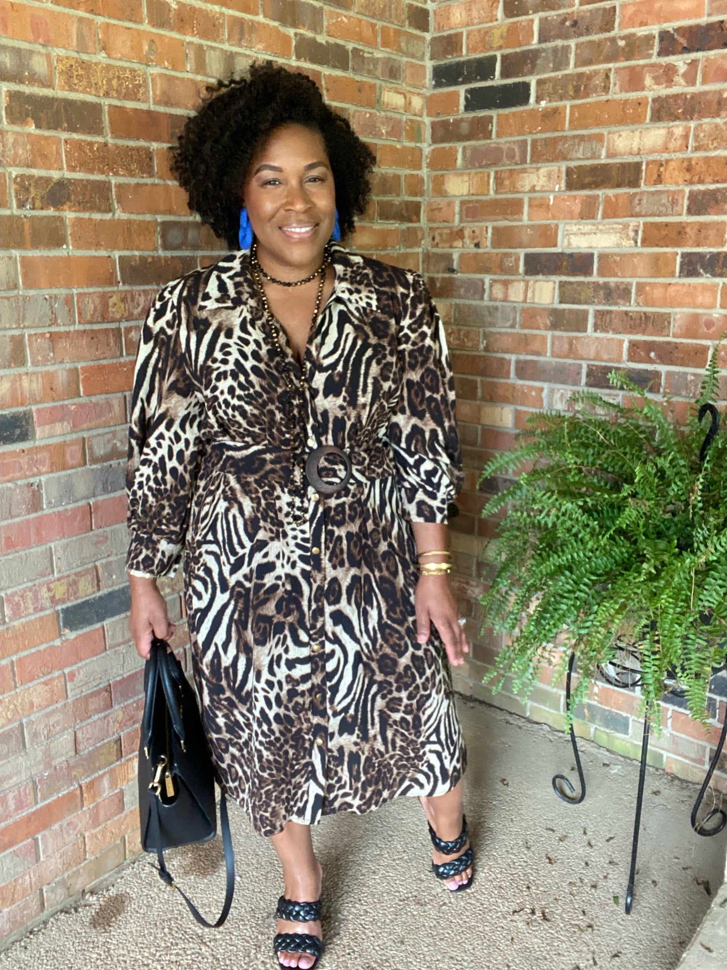Button Down Print Dress