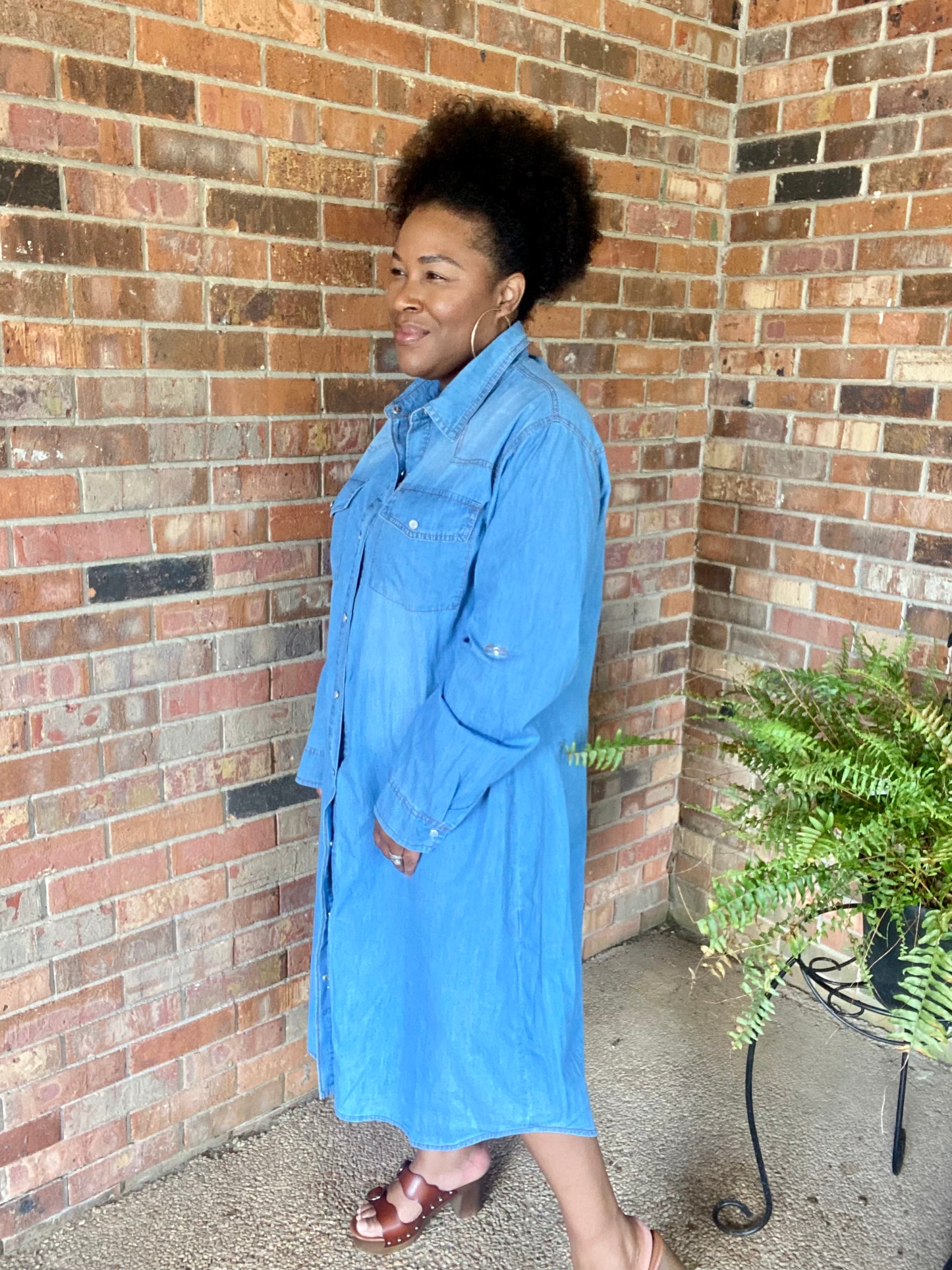 Button Down Denim Dress