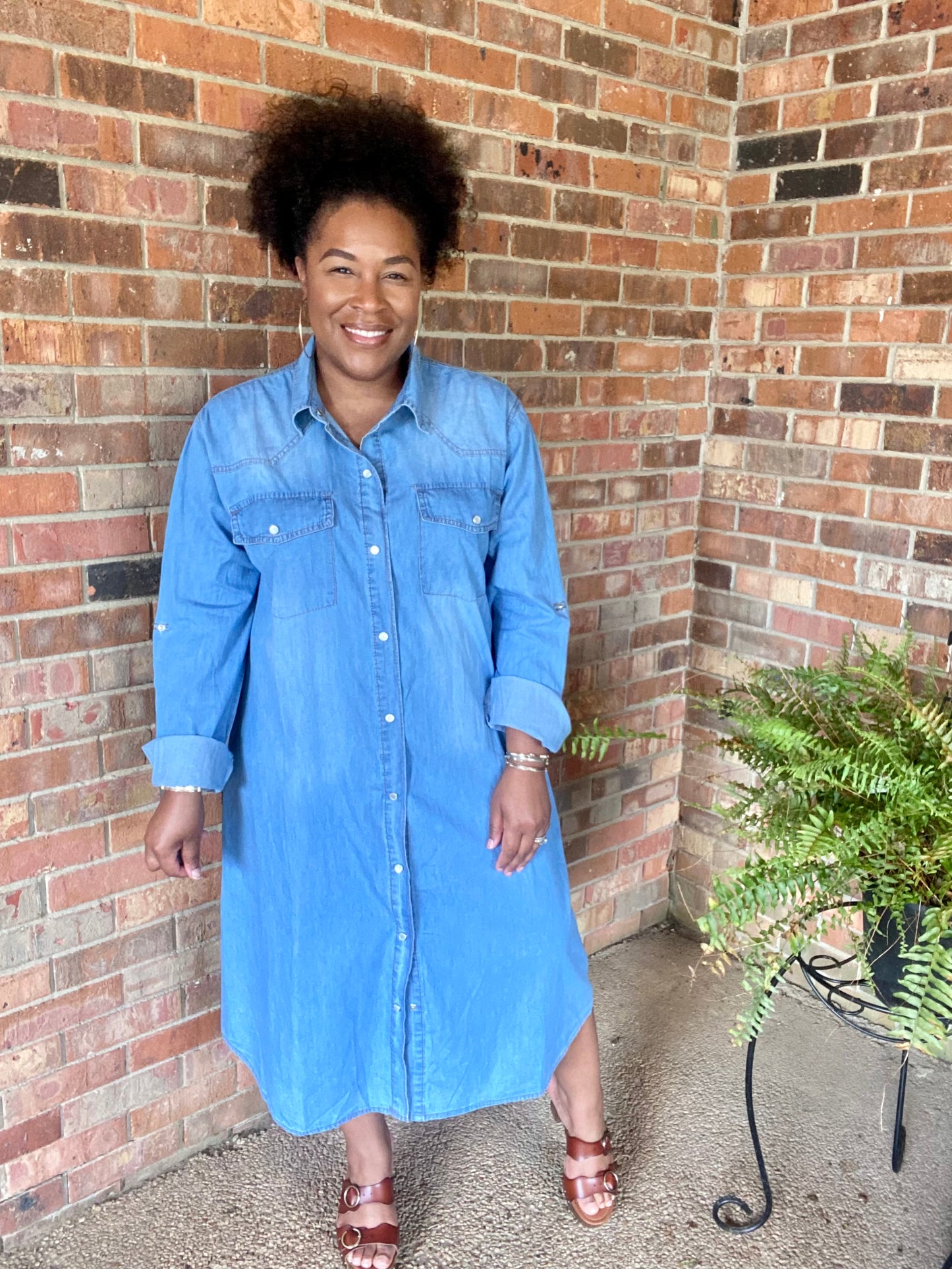 Button Down Denim Dress