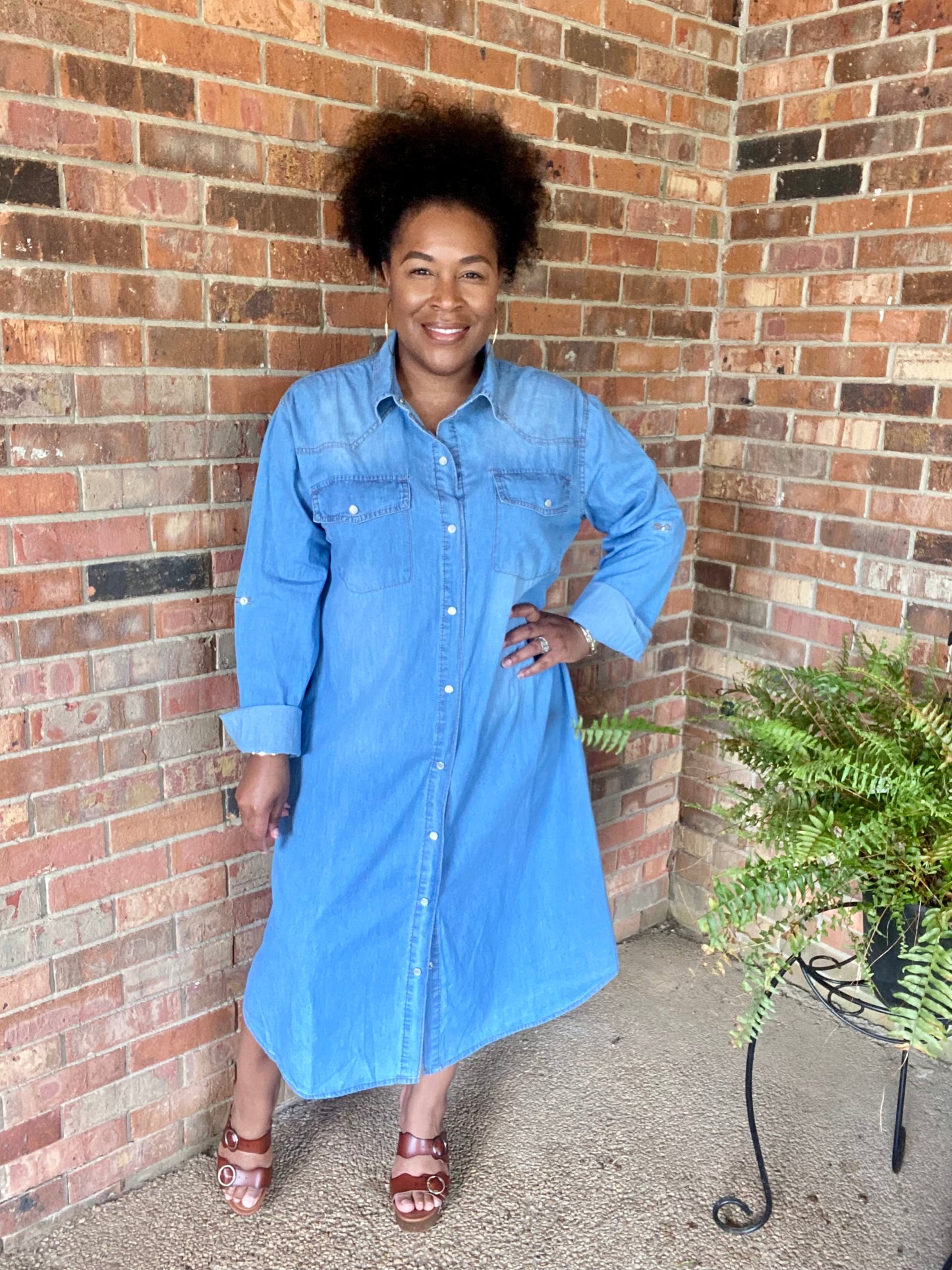 Button Down Denim Dress