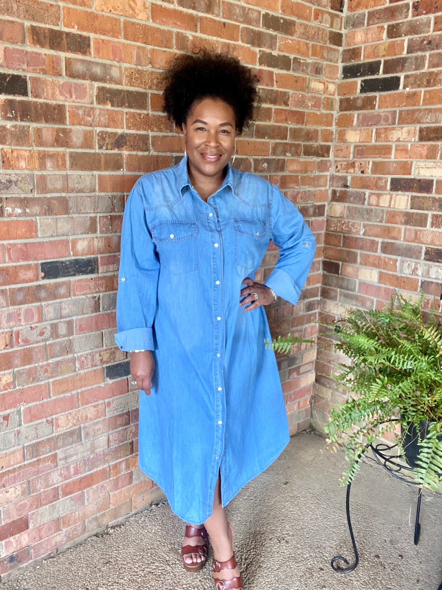 Button Down Denim Dress