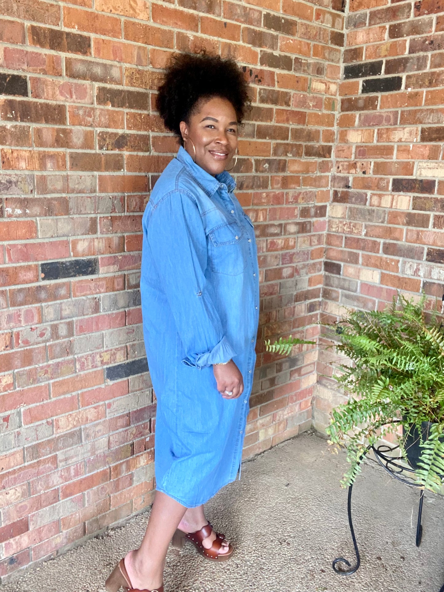 Button Down Denim Dress