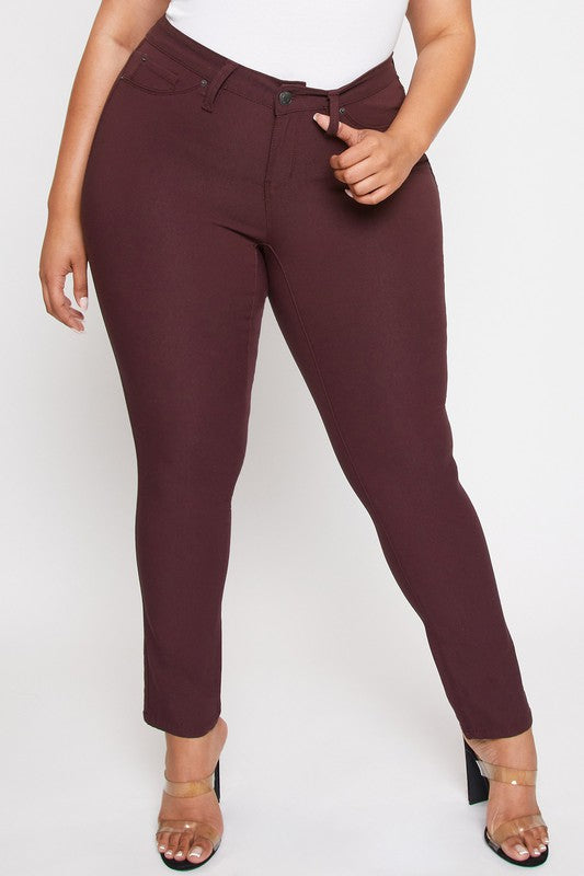Stretch Skinny Jeans (Plus)