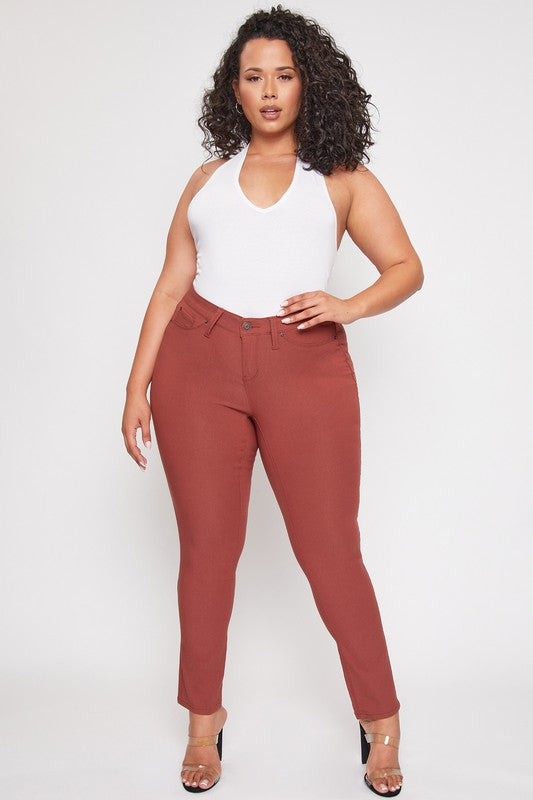 Stretch Skinny Jeans (Plus)