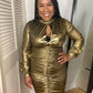 Bodycon Shimmer Dress