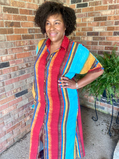 Stripe Multi Color Dress (Curvy)