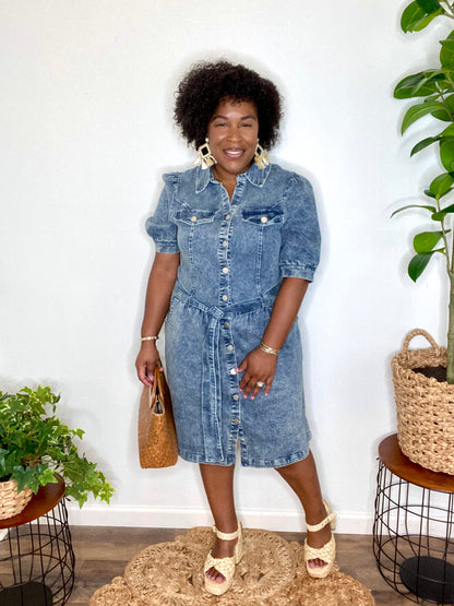Denim Button Down Dress