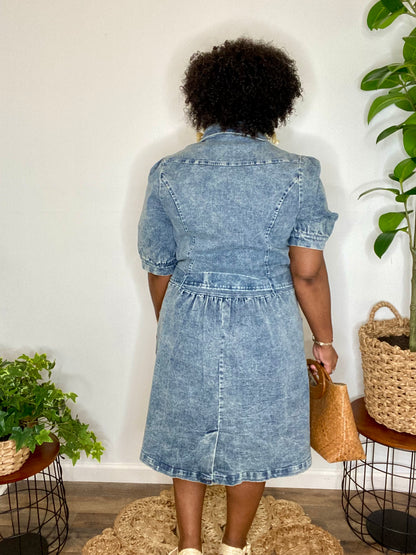 Denim Button Down Dress