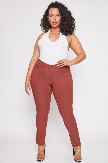 Stretch Skinny Jeans (Plus)