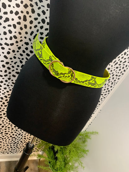 Lime Leather Bet