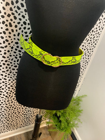 Lime Leather Bet